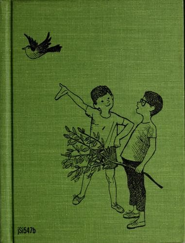 Book cover image