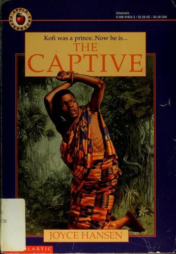 Cover image for The captive