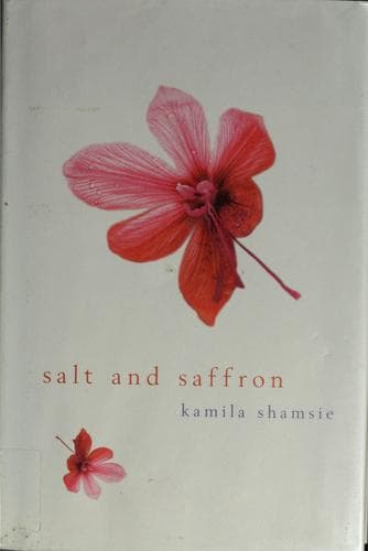 Cover image for Salt and saffron