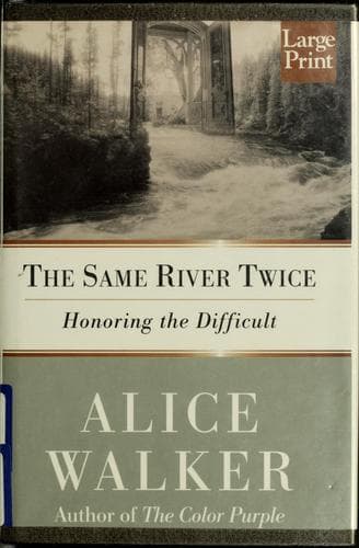 Cover image for The same river twice