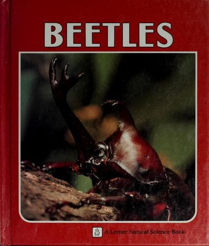 Cover image for Beetles