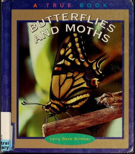 Cover image for Butterflies and moths