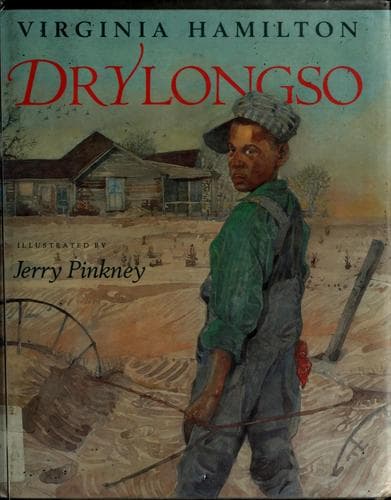 Cover image for Drylongso