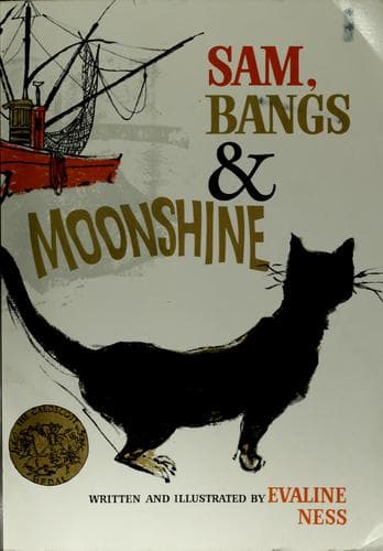 Cover image for Sam, Bangs & moonshine