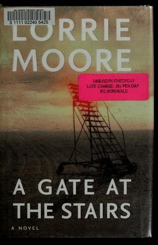 Cover image for A gate at the stairs