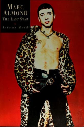 Cover image for The last star