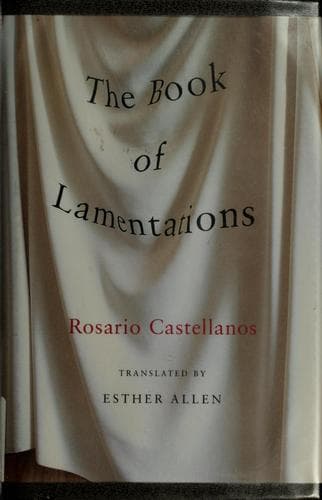 Cover image for The book of lamentations