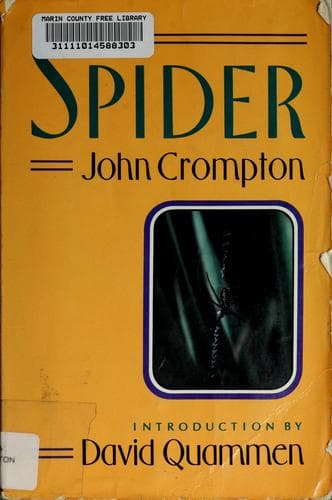 Cover image for The spider