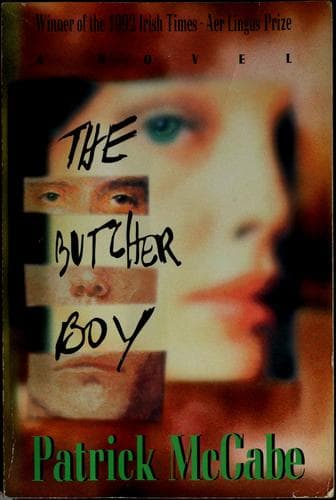 Cover image for The butcher boy