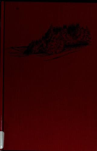 Cover image for The stone-faced boy