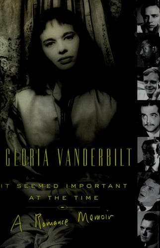 Cover image for It seemed important at the time