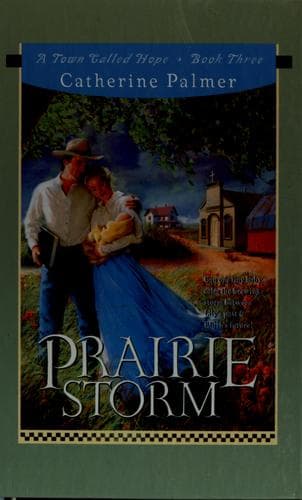 Cover image for Prairie storm