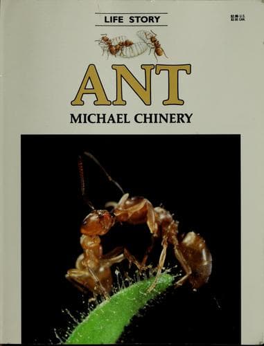 Cover image for Ant