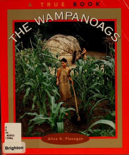 Cover image for The Wampanoags