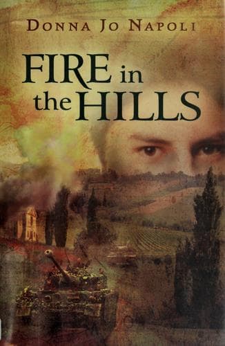 Cover image for Fire in the hills
