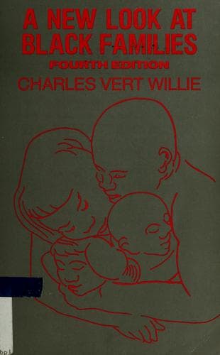 Cover image for A new look at Black families