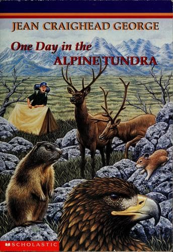 Cover image for One day in the alpine tundra
