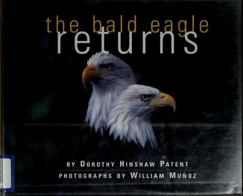 Cover image for The bald eagle returns