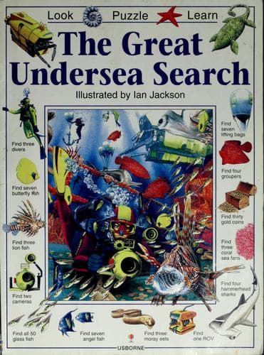 Cover image for The great undersea search