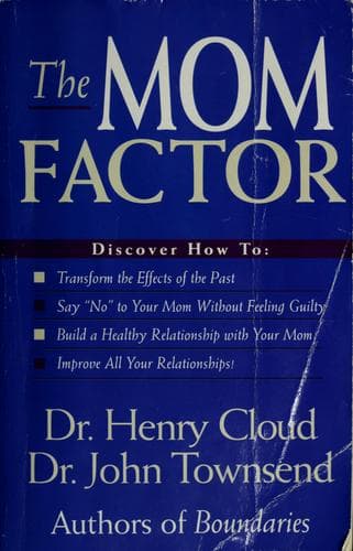 Cover image for The mom factor