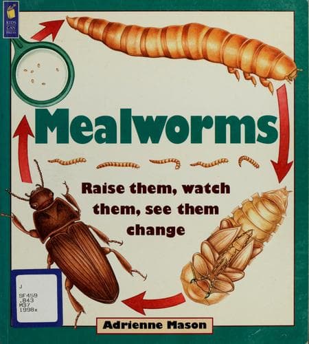 Cover image for Mealworms