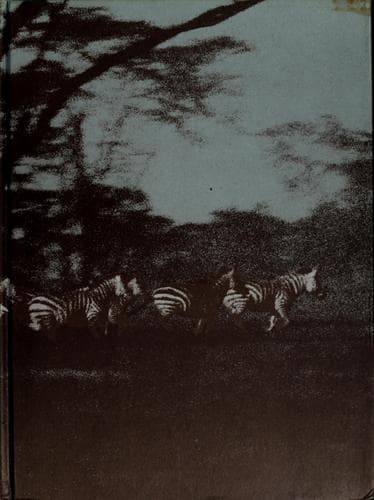 Cover image for World encyclopedia of animals