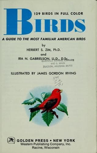 Cover image for Birds