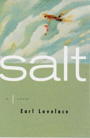Cover image for Salt