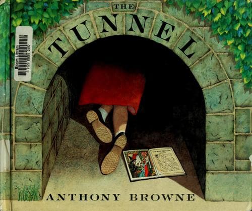 Cover image for The tunnel