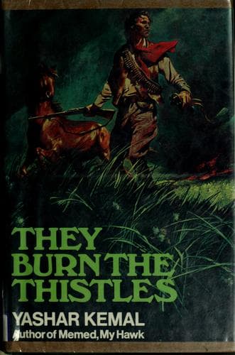 Cover image for They burn the thistles