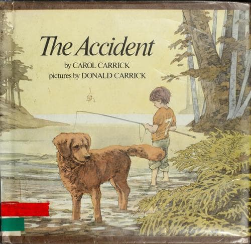 Cover image for The accident
