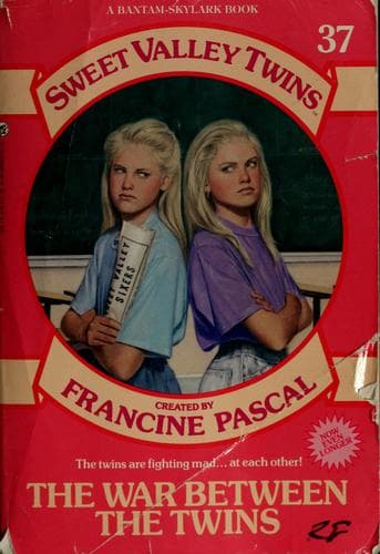 Cover image for The war between the twins