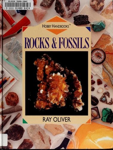 Cover image for Rocks & fossils