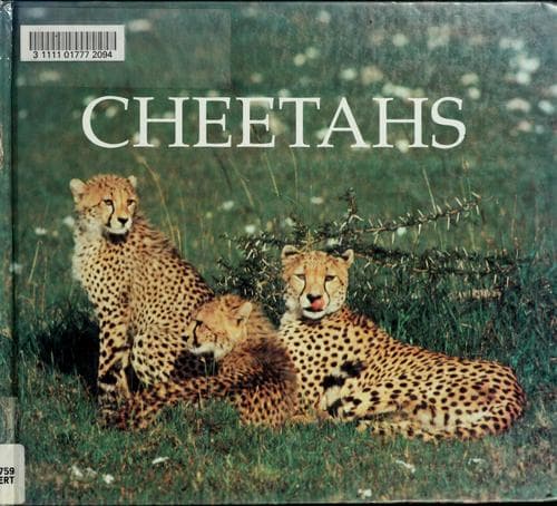 Cover image for Cheetahs