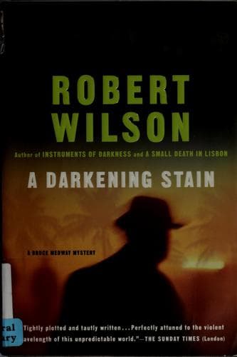 Cover image for A darkening stain