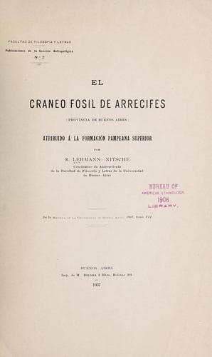 El cráneo fósil de Arrecifes