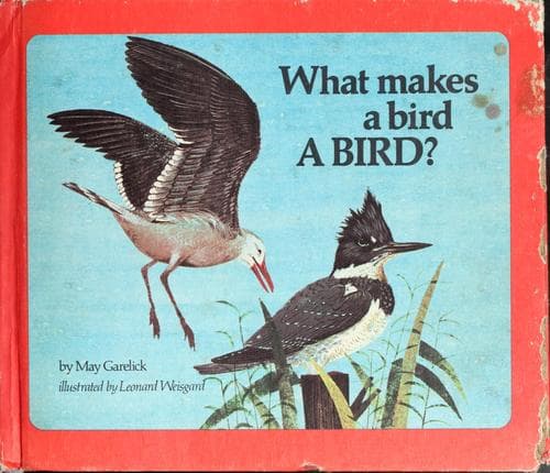 Cover image for What makes a bird a bird?