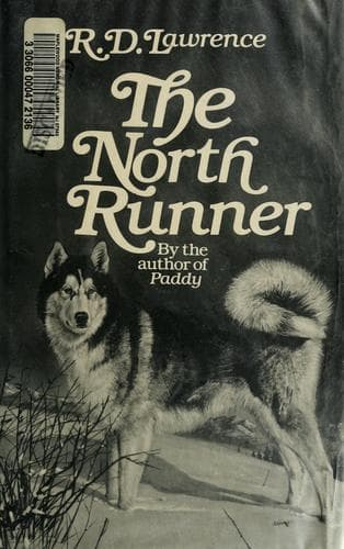 Cover image for The north runner