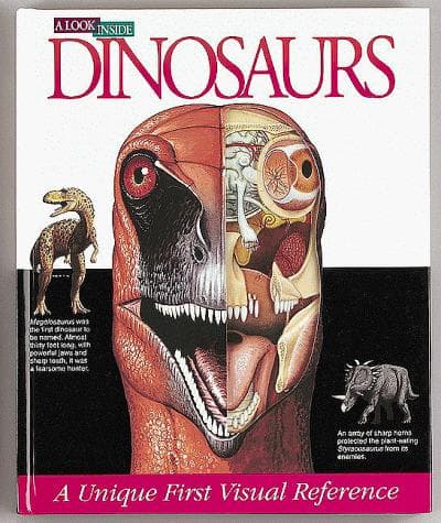 Cover image for Dinosaurs 