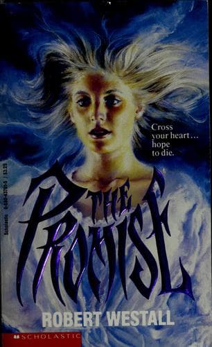Cover image for The promise