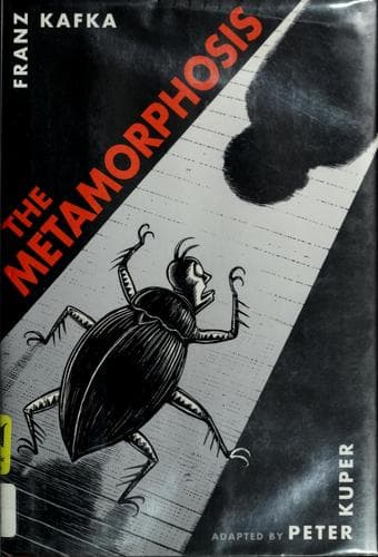 Cover image for The metamorphosis