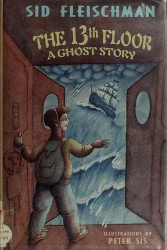 Cover image for The 13th floor