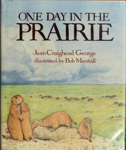 Cover image for One day in the prairie