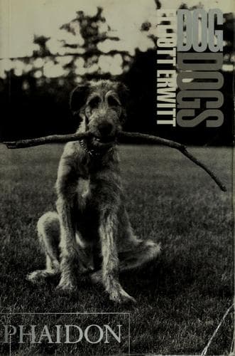 Cover image for Dogdogs