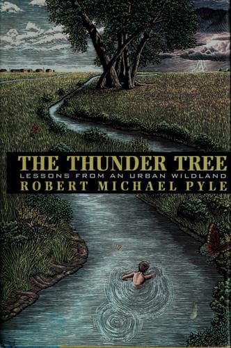 Cover image for The thunder tree