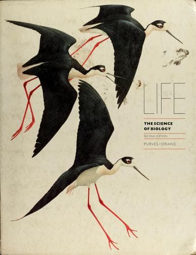 Cover image for Life, the science of biology