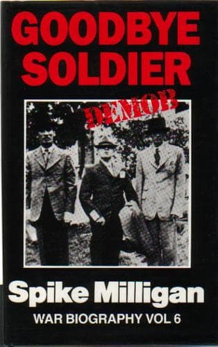 Cover image for Goodbye soldier