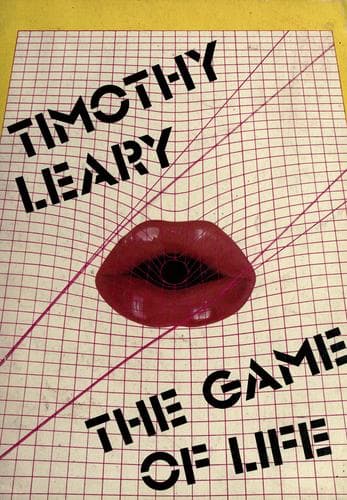 Cover image for The game of life