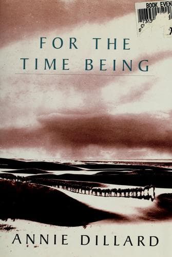 Cover image for For the time being