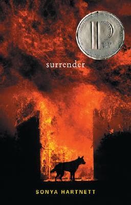 Cover image for Surrender